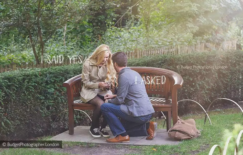 Proposal in a Private Park